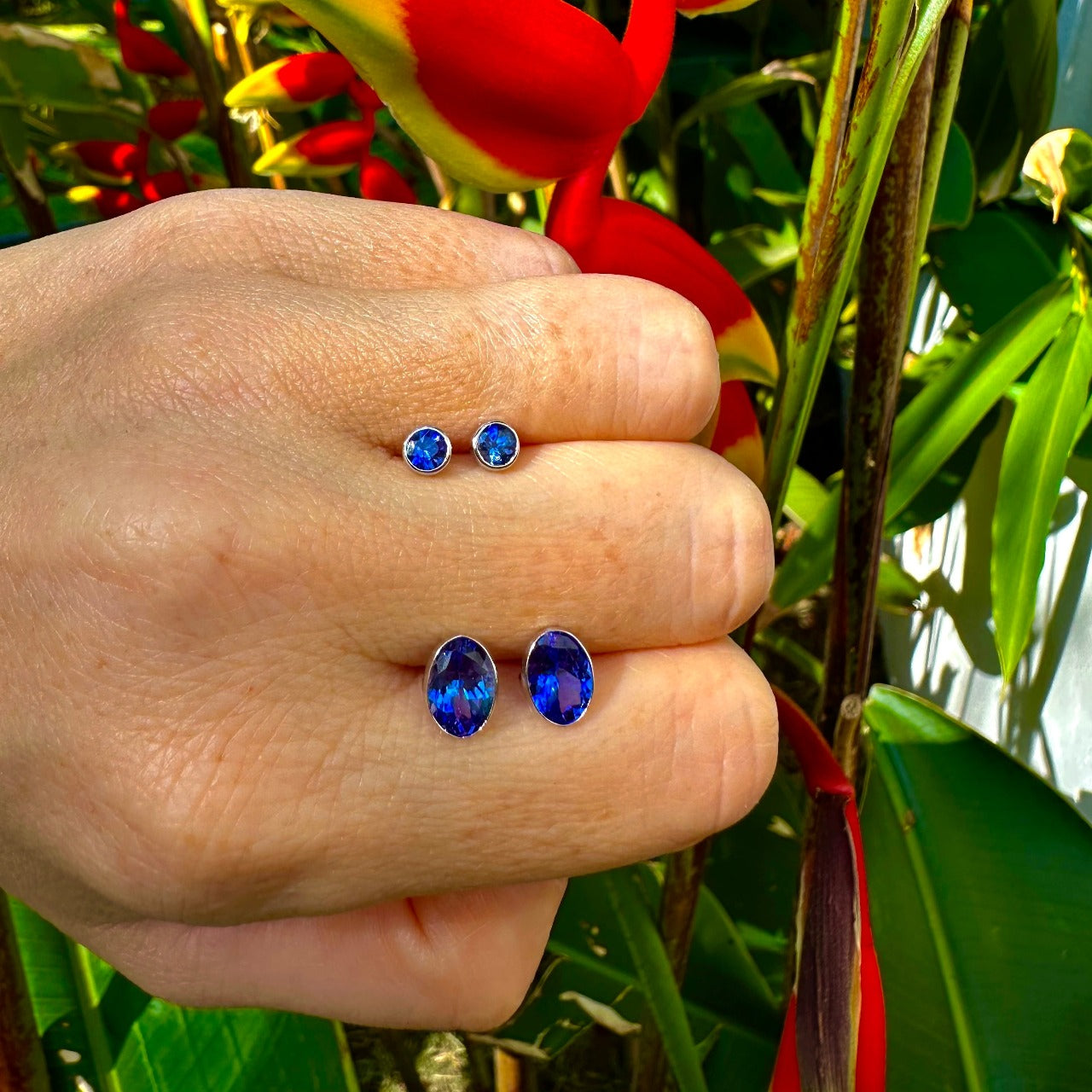 Oval Tanzanite Studs